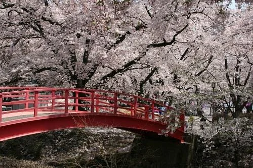 Kasuga Park