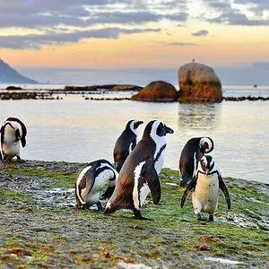 Southern esCape Tours
