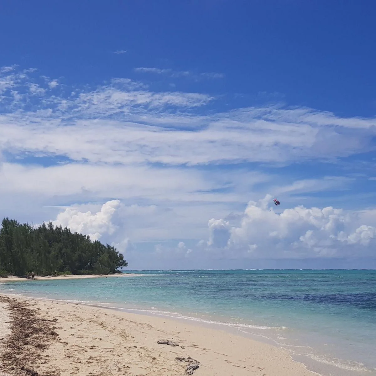Fishing in Mauritius