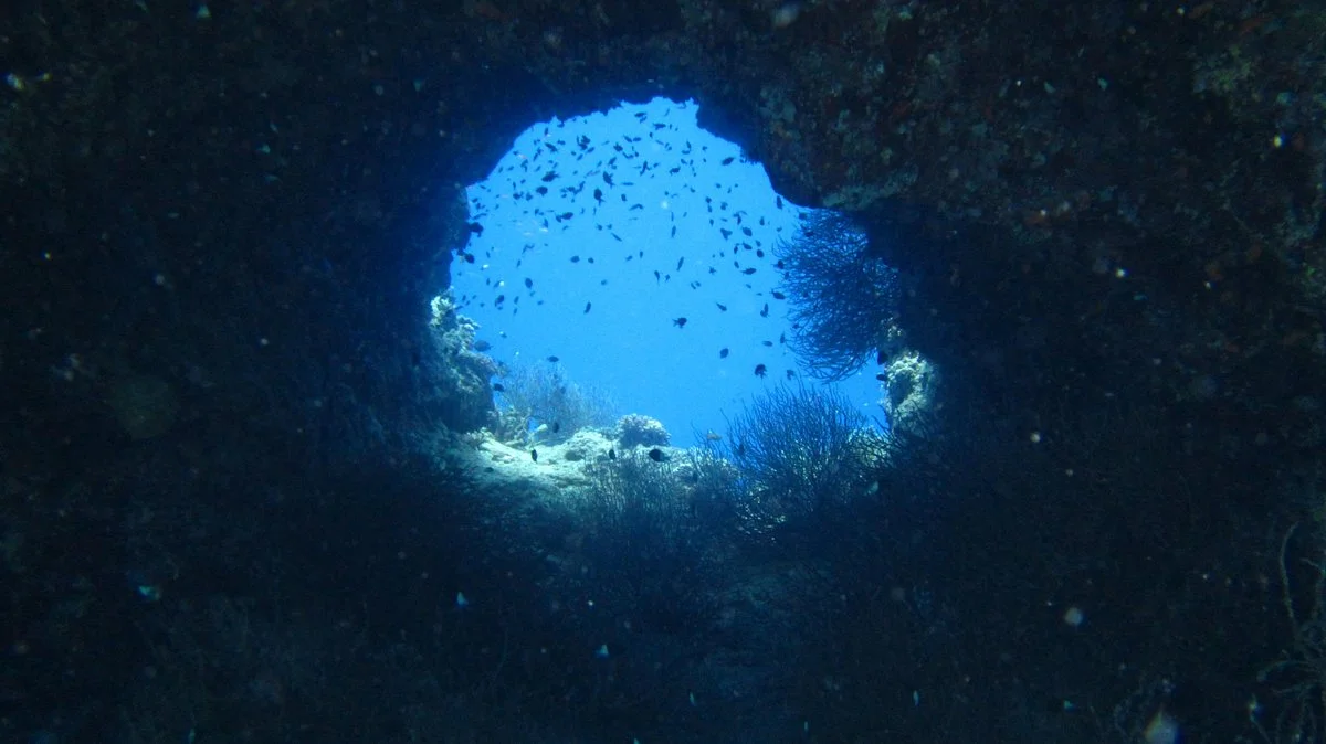 Titanic Palace Diving Center