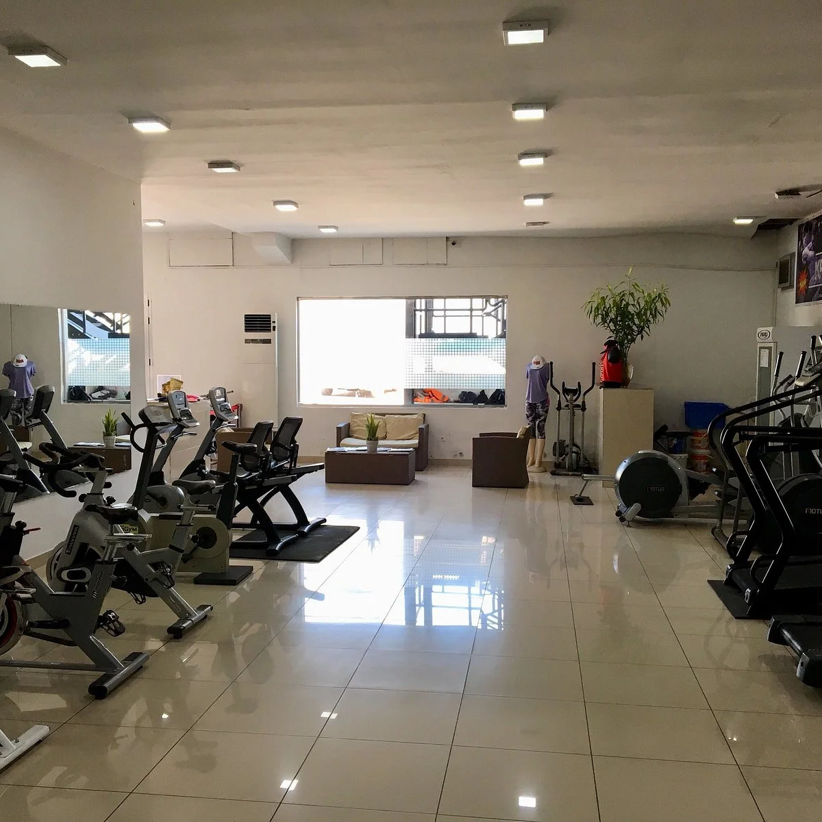 Iron Gym