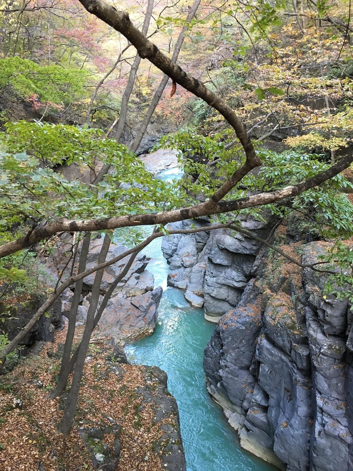 Agatsuma Canyon