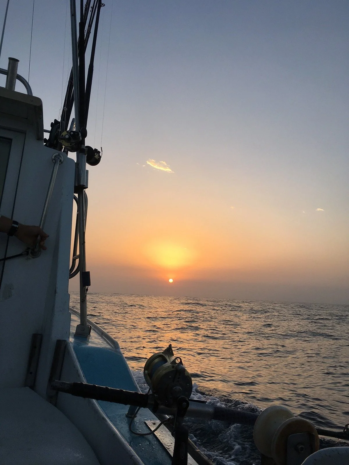 Swissroll Charters