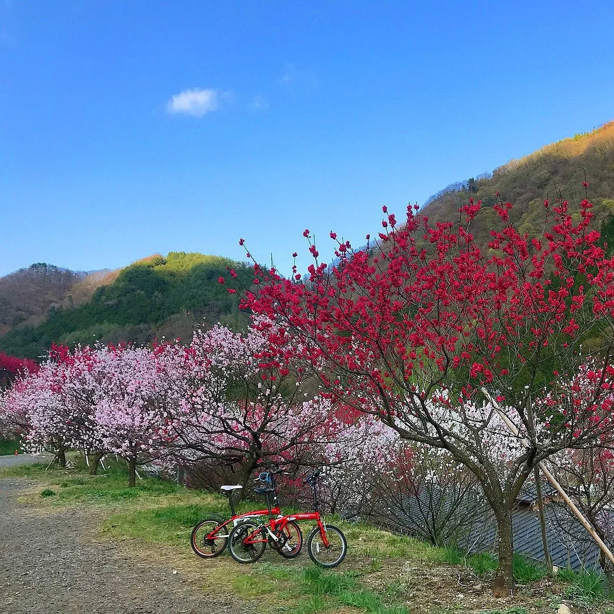 Hanamachi no Sato