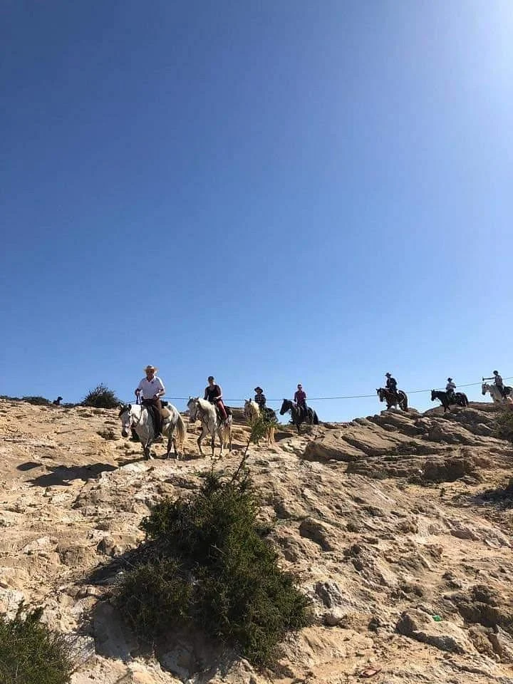 Ranch cheval agadir Morroco