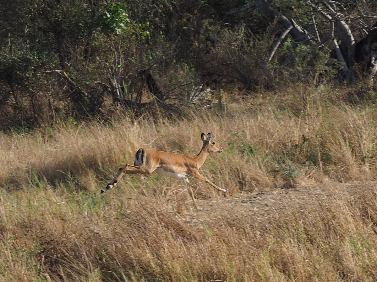 Tanzania Tourist Board