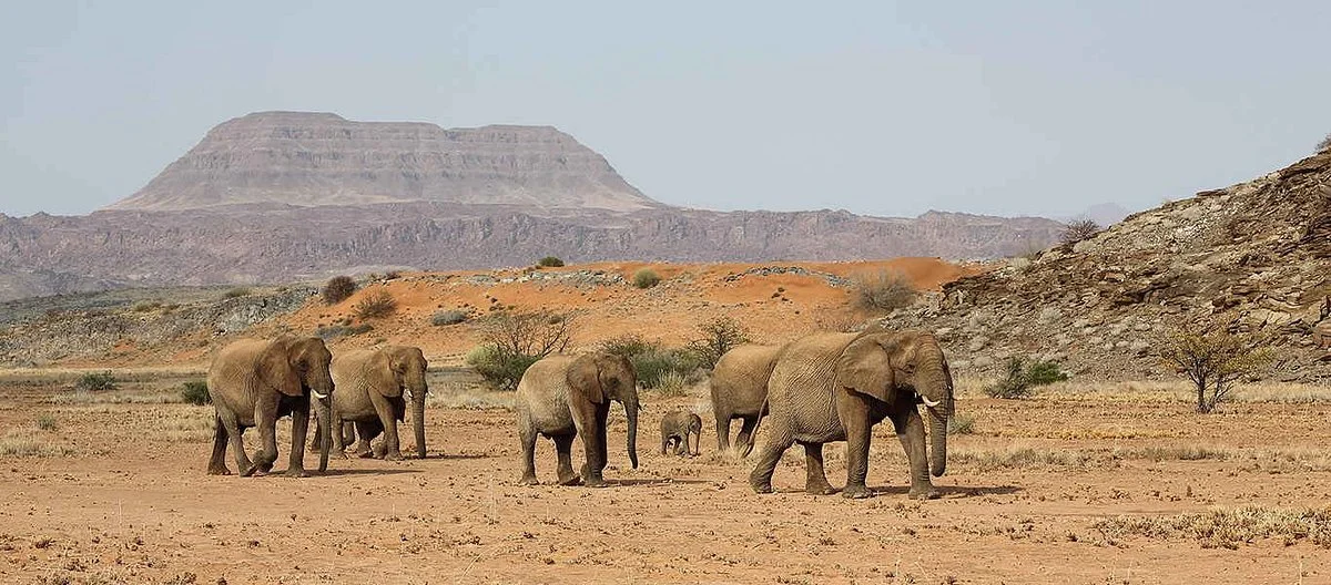 Namibia Holidays Tours & Safaris