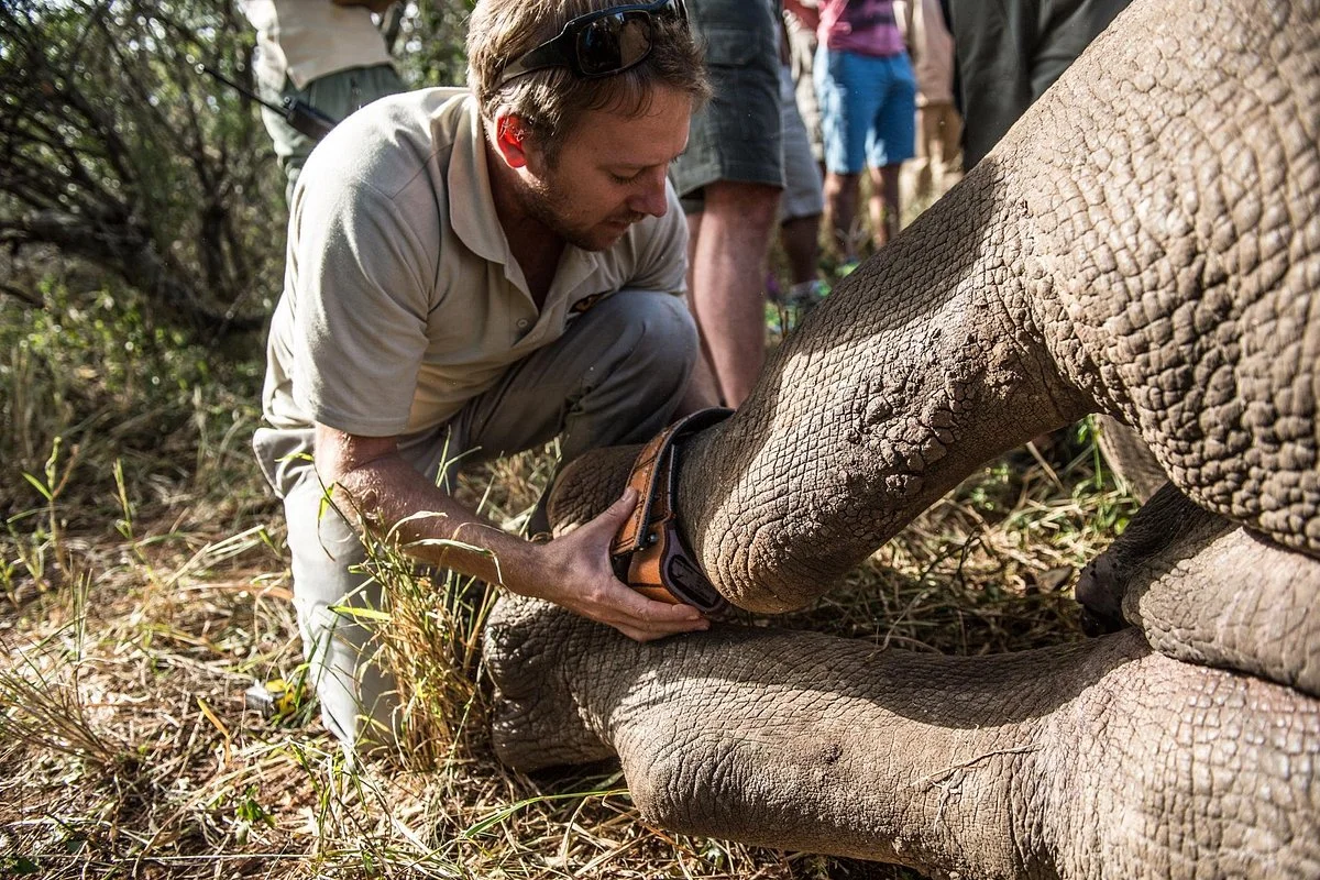 Wildlife ACT