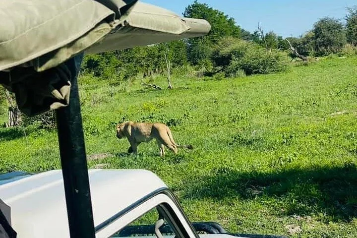 Bushvalley Safari tours
