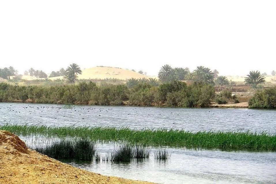 EL-GOLEA Tourism & Travel