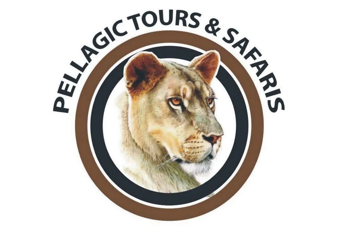 Pellagic Tours and Safaris