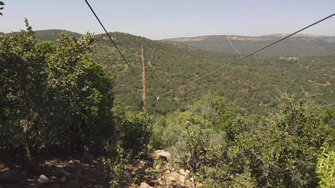Koepel Mega Zip Adventures