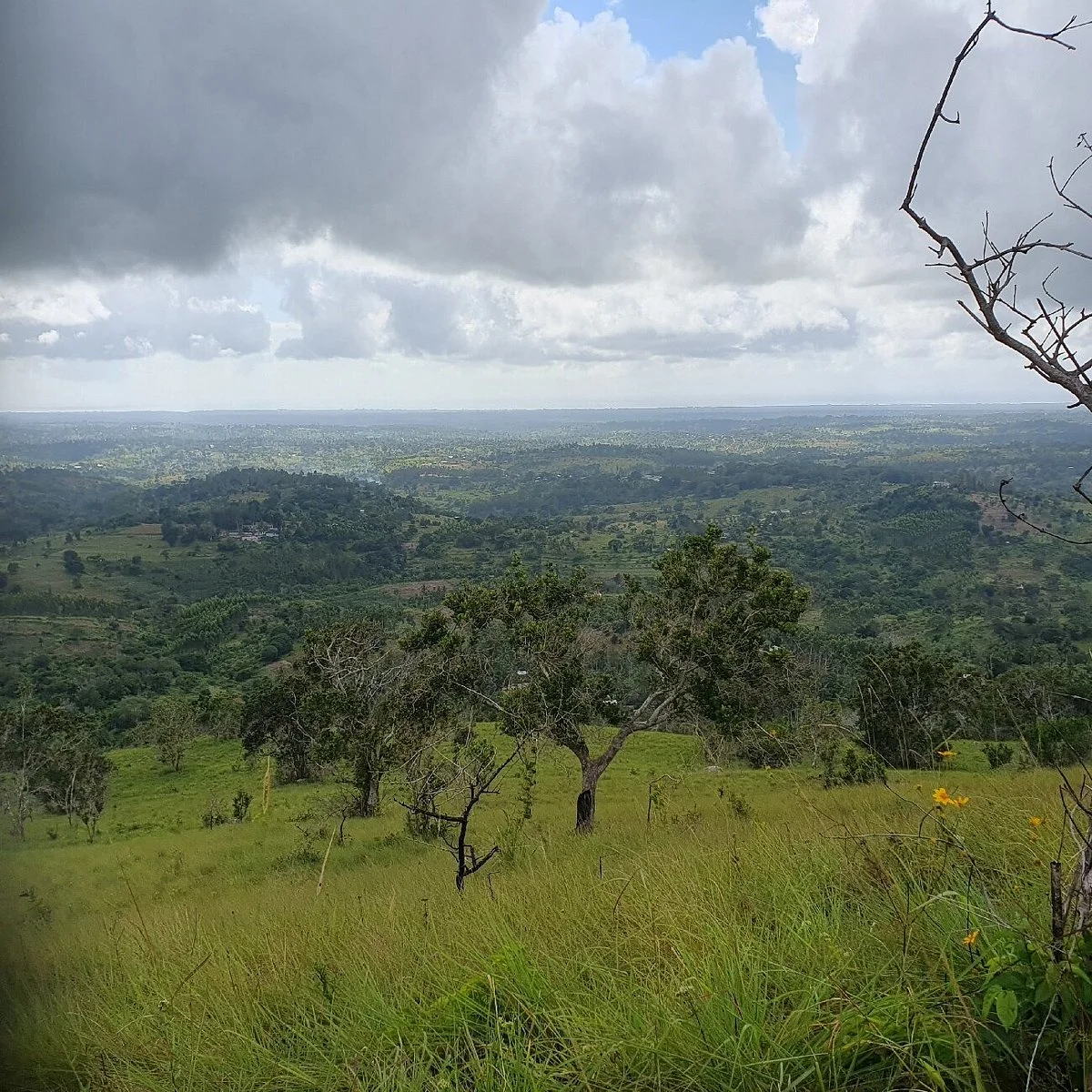 SHIMBA HILLS NATIONAL RESERVE