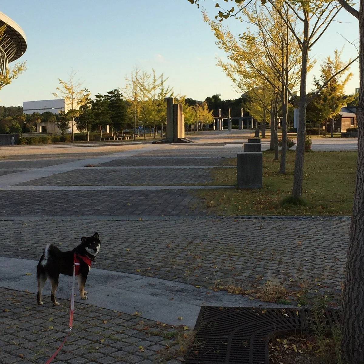 Miki Bosai Park