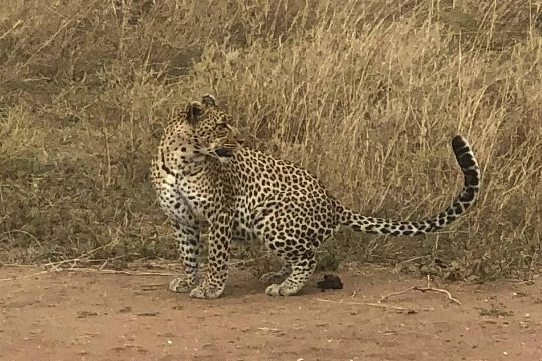 Infinity Holidays Tours & Safaris