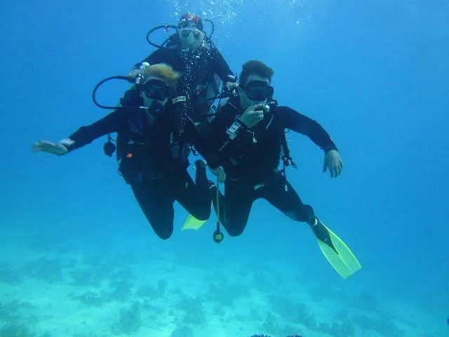 Synus Divers
