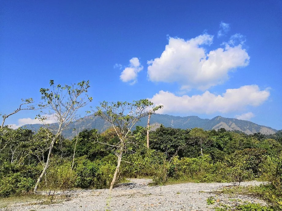 Buxa Tiger Reserve
