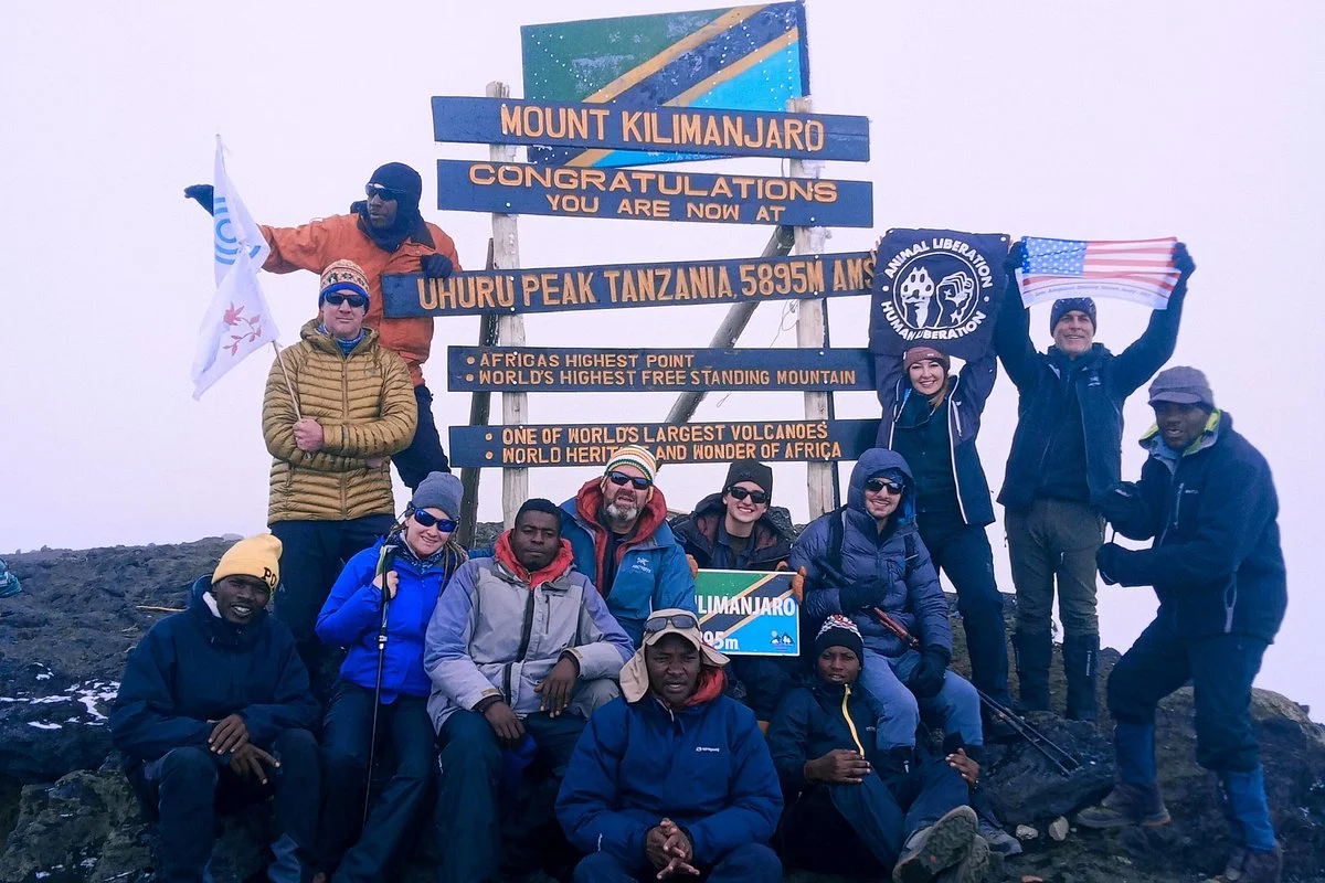 Nafika Tours
