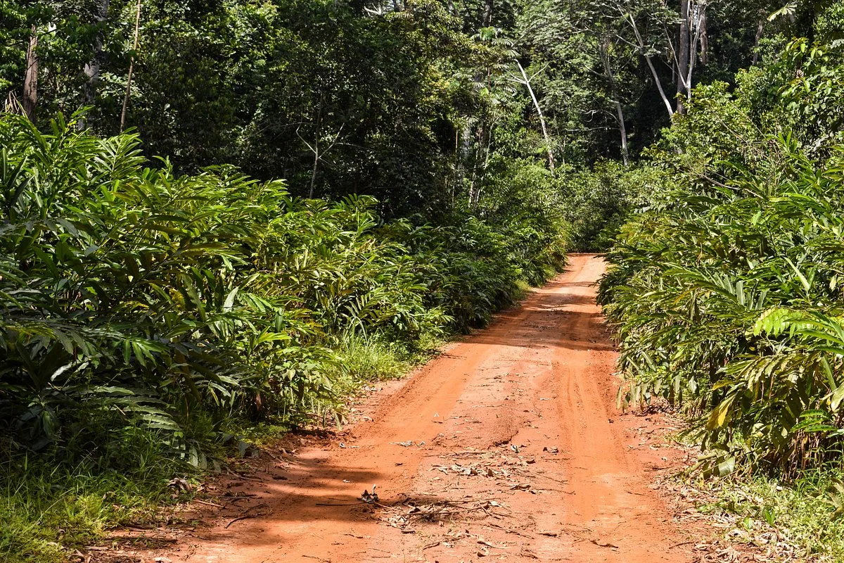 Ngoyla Faunal Reserve