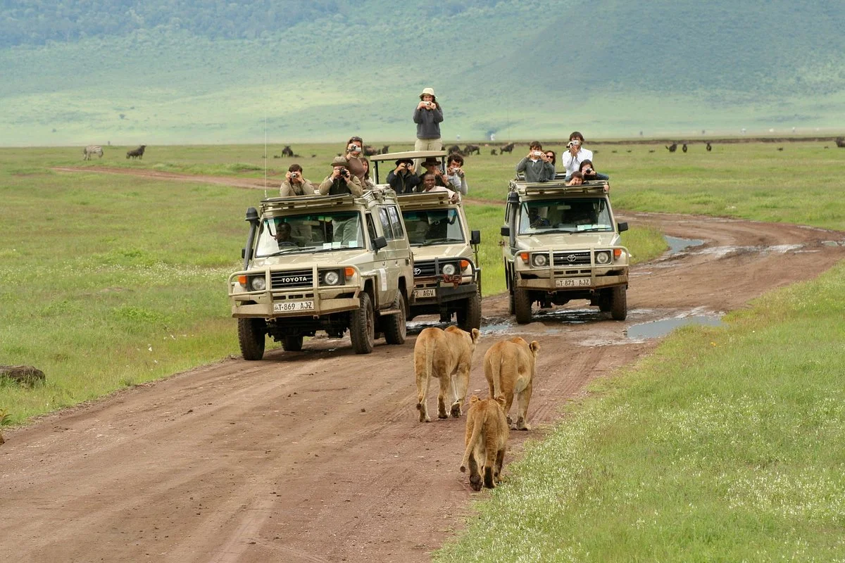 Balbina Safari
