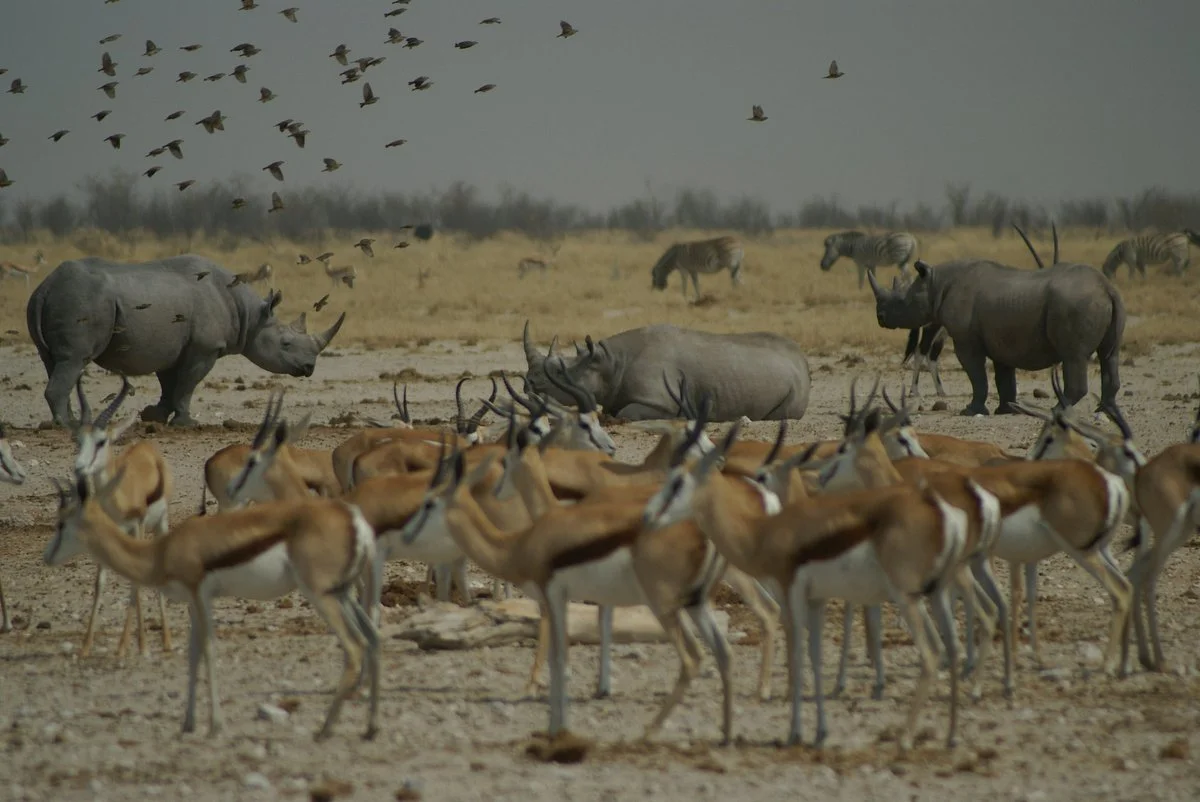 Xama Adventures &  Safaris - Day Tours