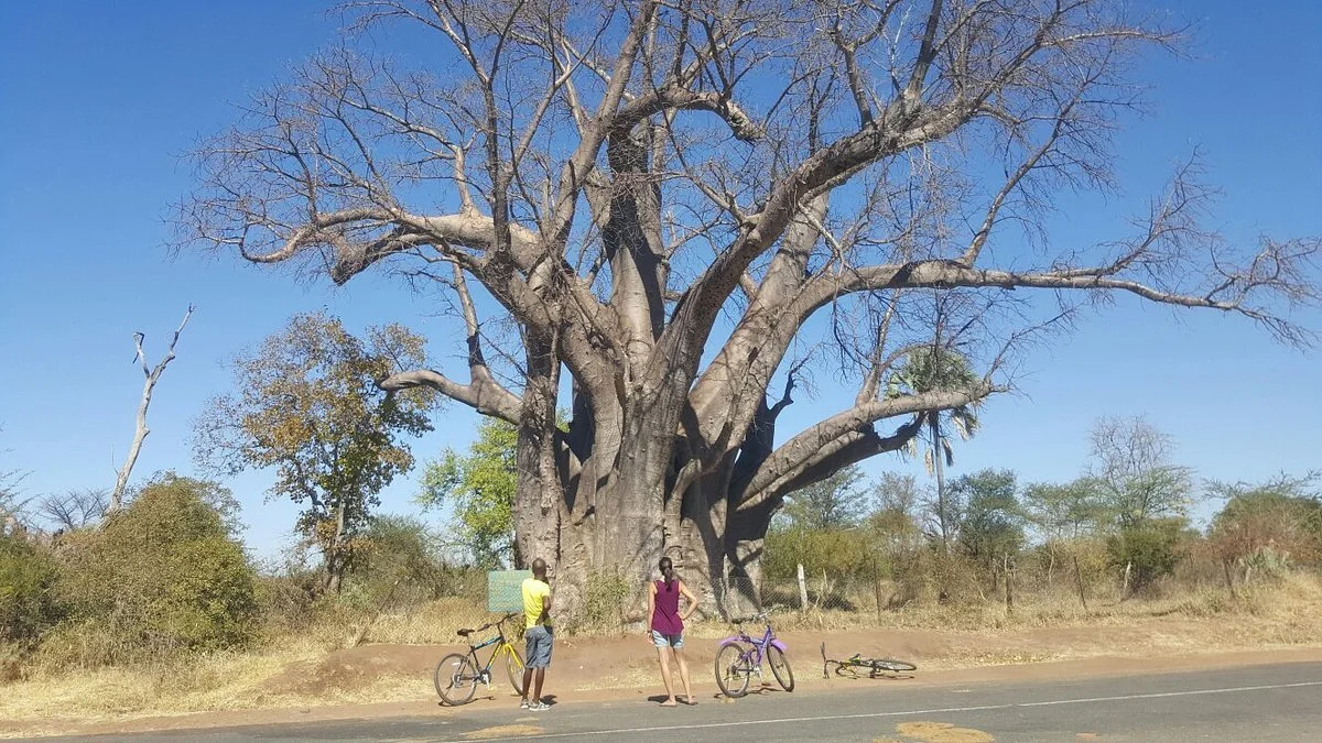 Africa Guide Travel & Tours