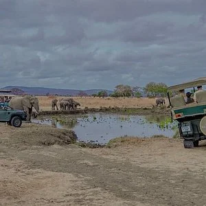 Savannah Tours Ltd