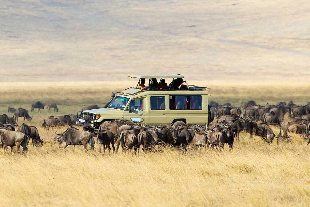 Mila Tours & Safaris