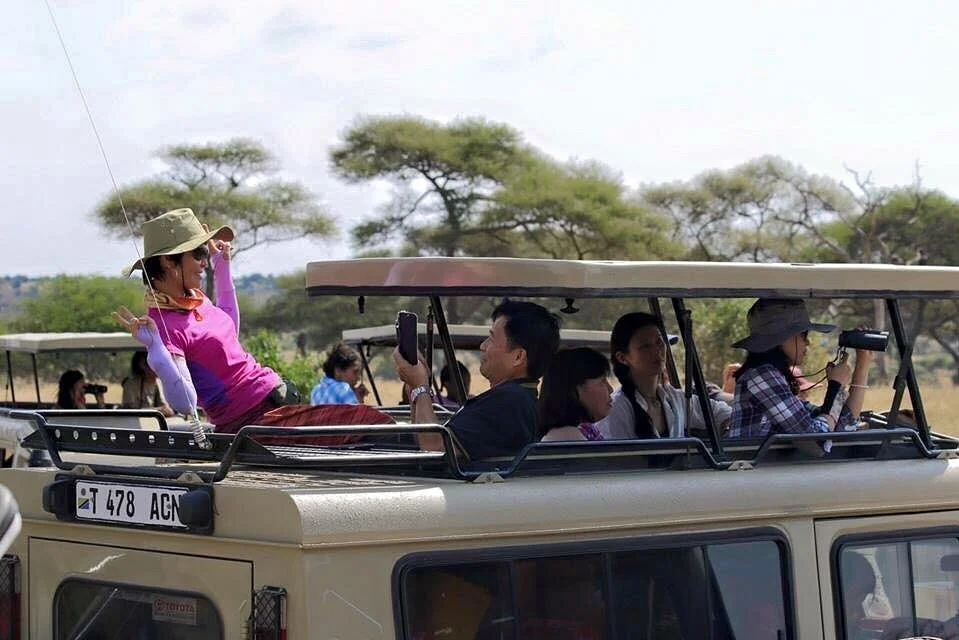 Unforgettable Expeditions