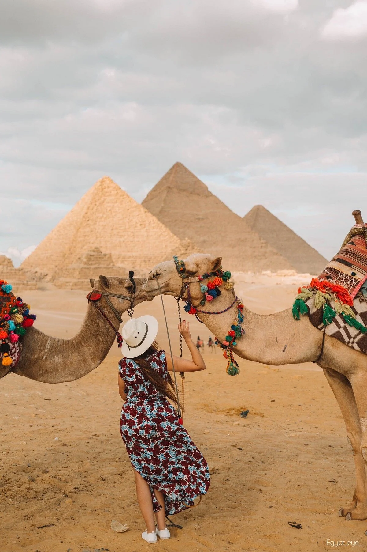 Egypt Eye 🇪🇬
