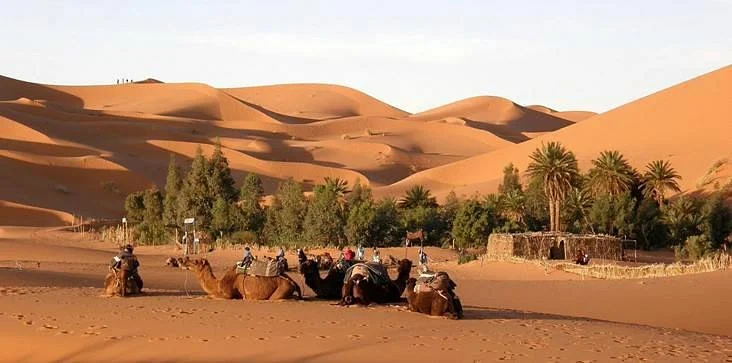 Marrakech shared trips - Day Tours