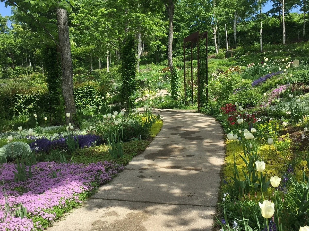 Oyuki Morino Garden