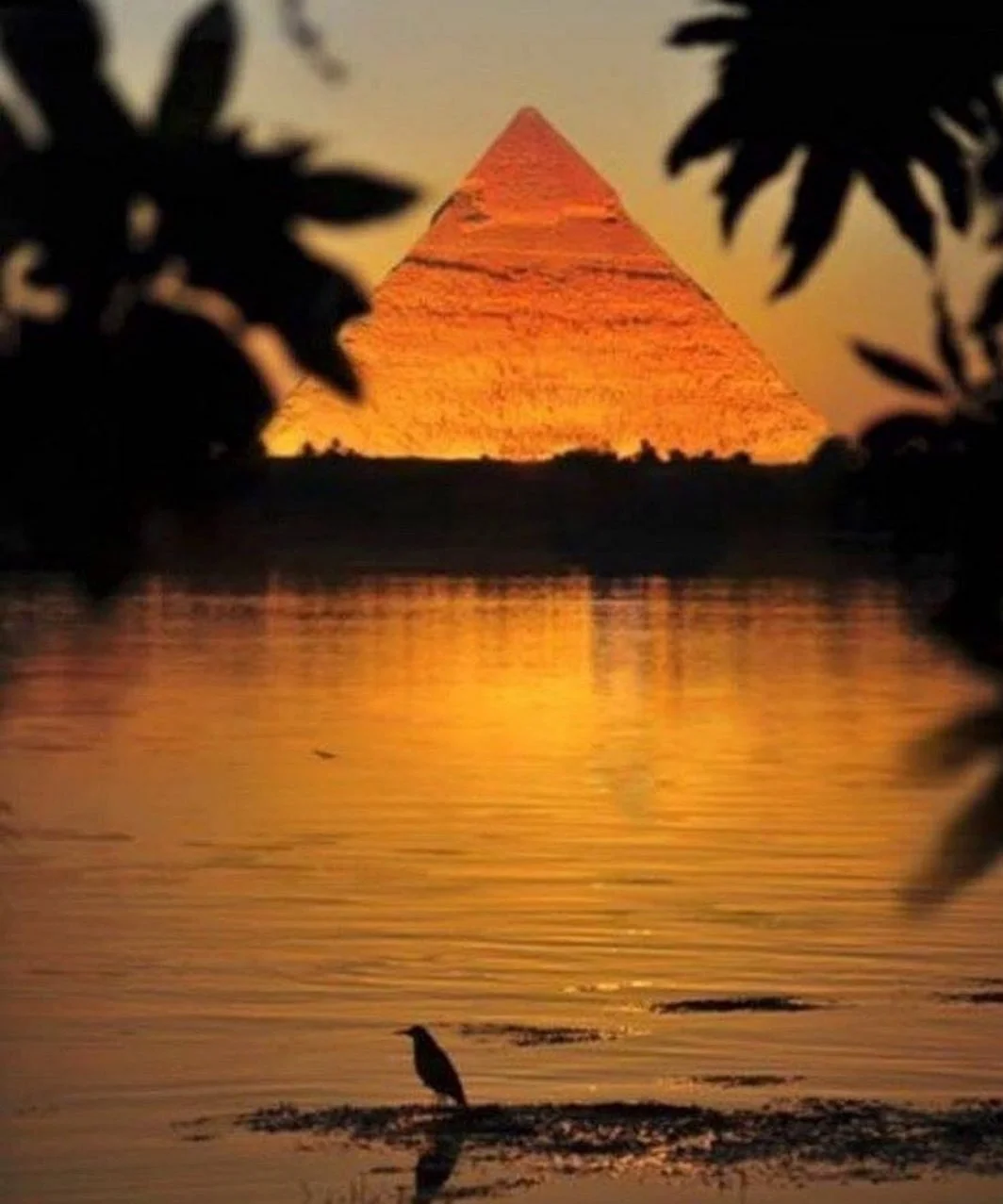 Royal Pyramids