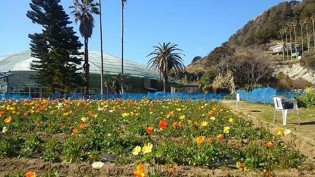 Shirahama Flower Park