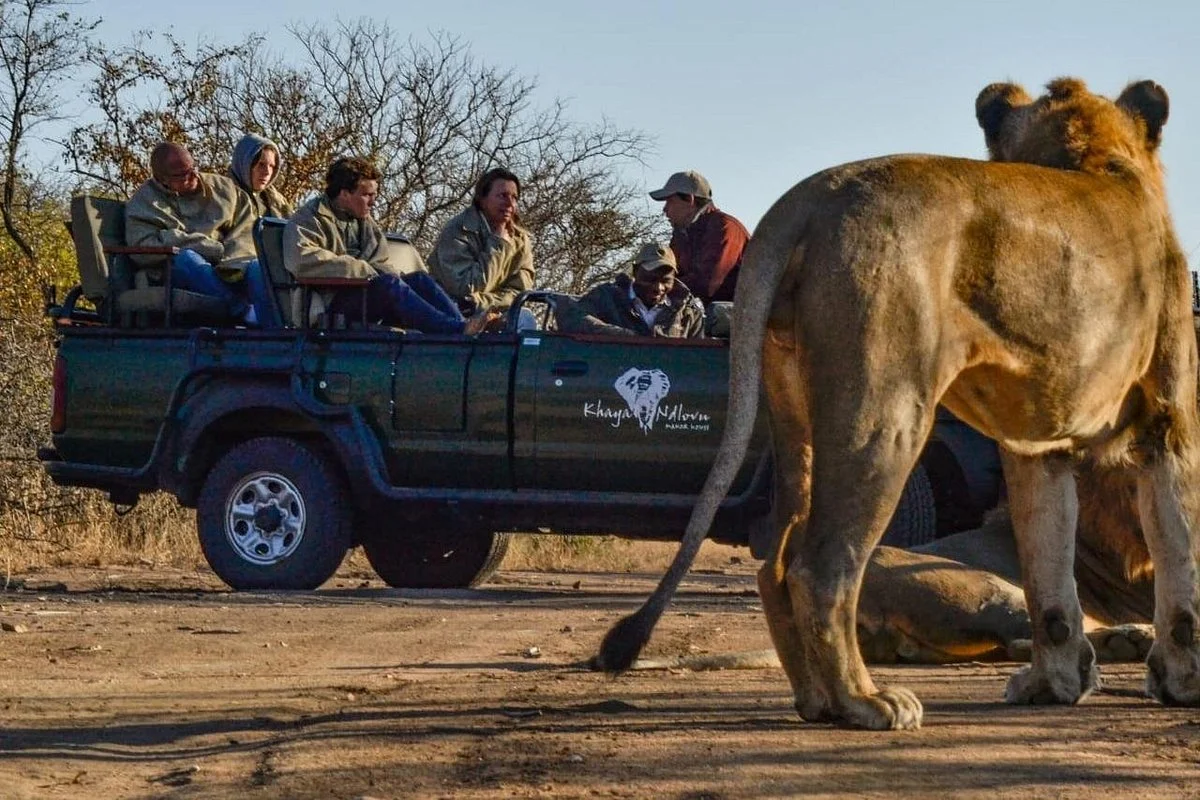 Khaya Ndlovu Safaris and Tours