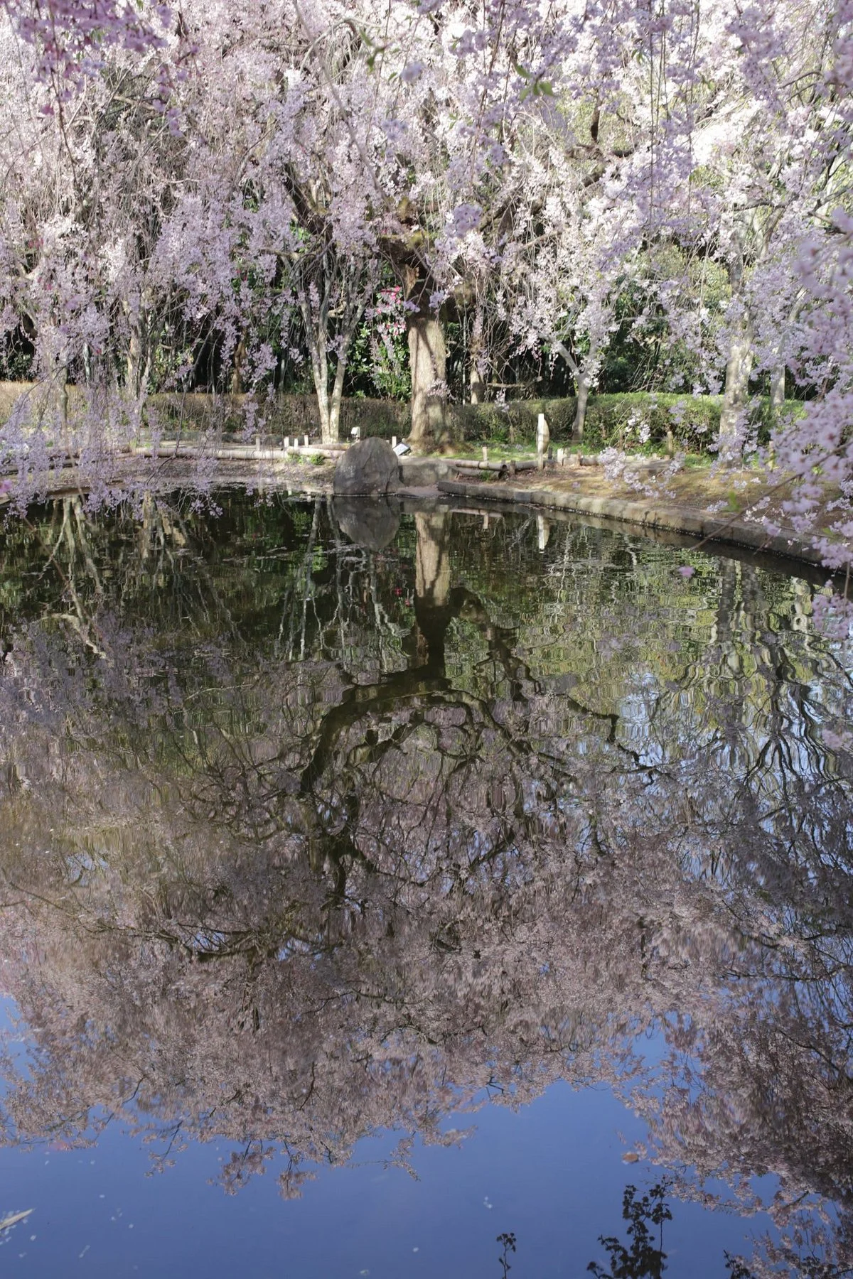 Araijoshi Park