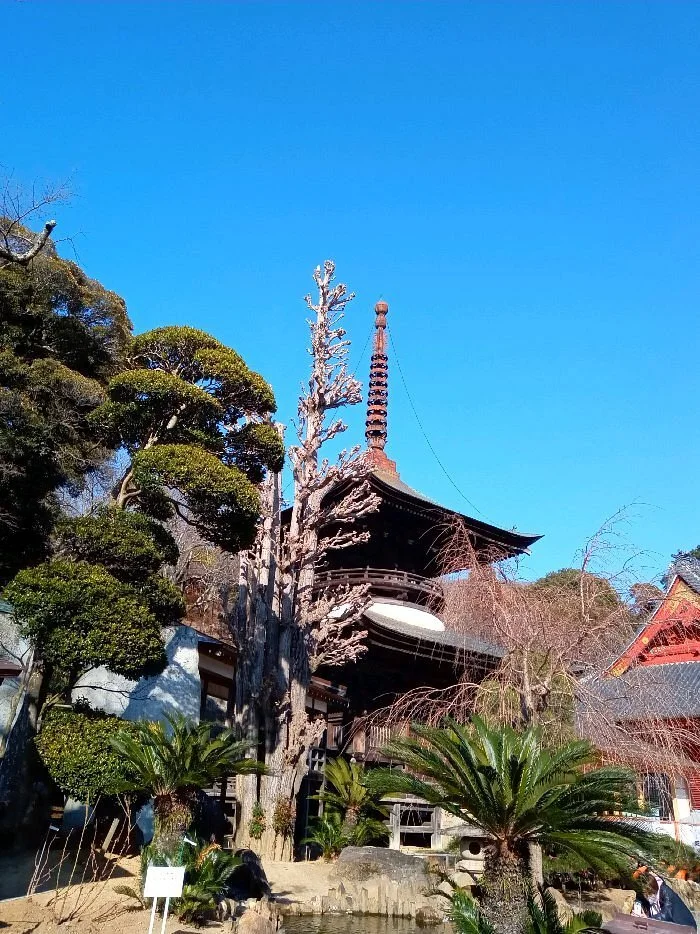 Amabiki Kannon