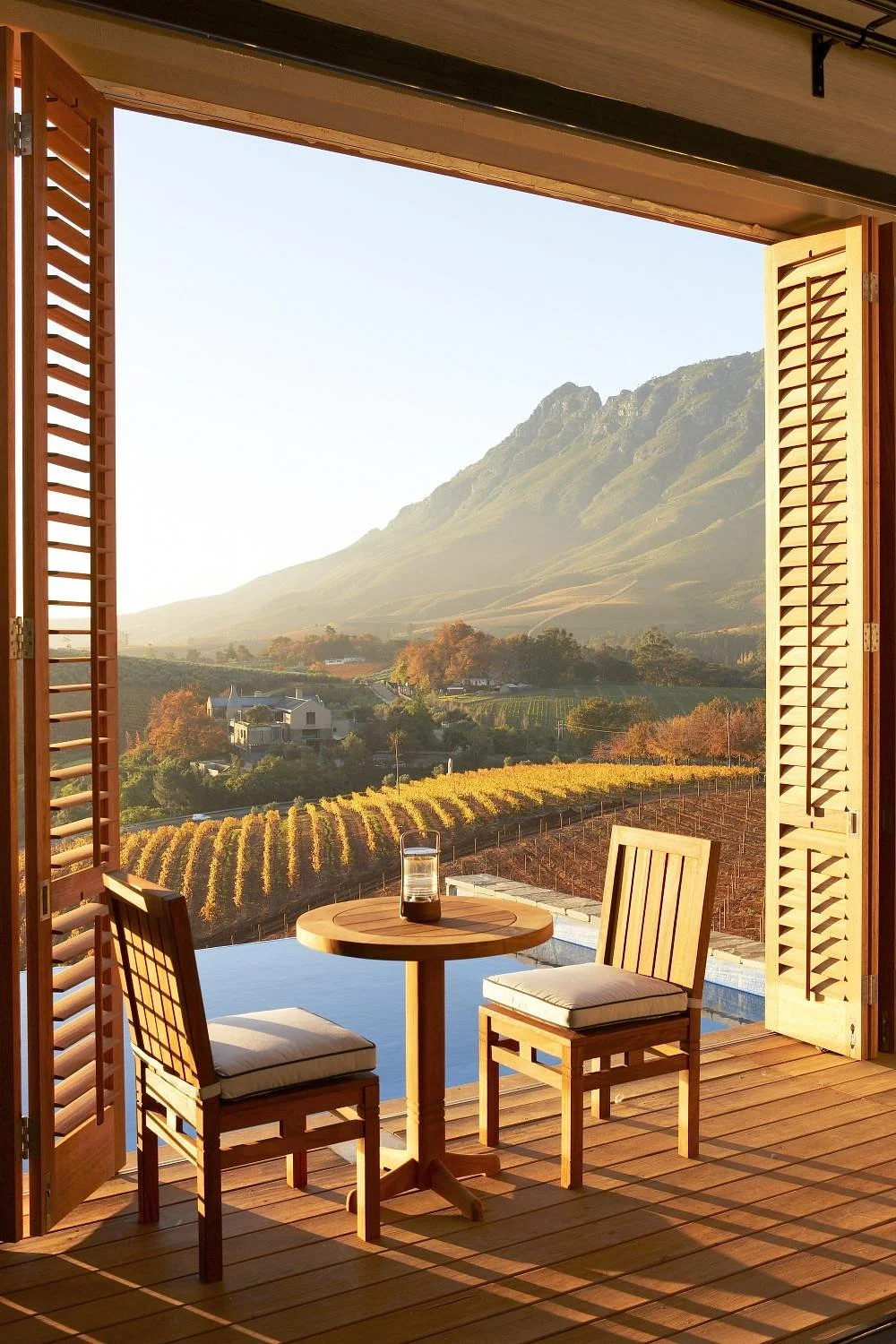 The Wine Experience