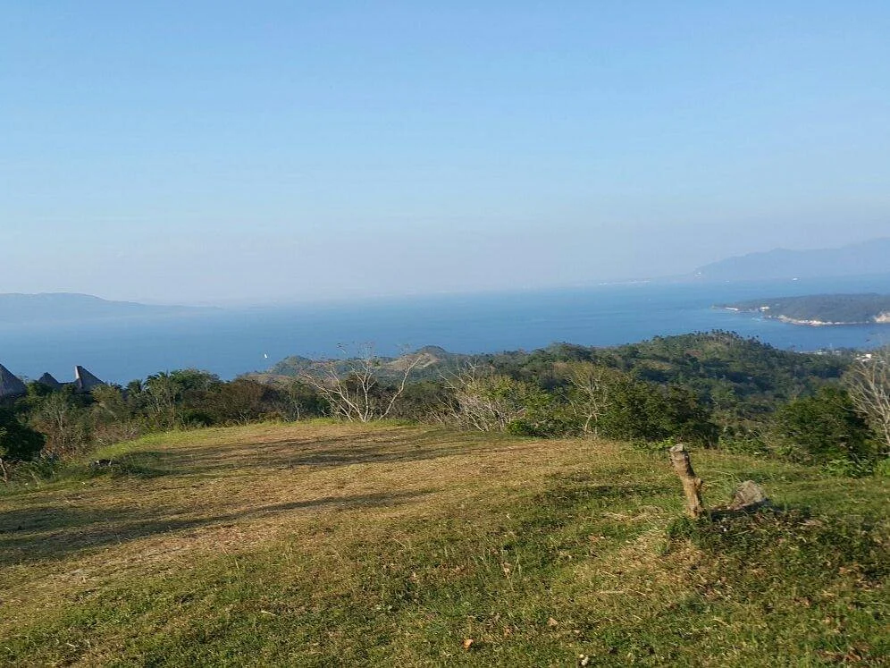 Mt. Malasimbo