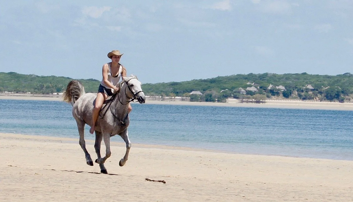 Pegasus Retreats