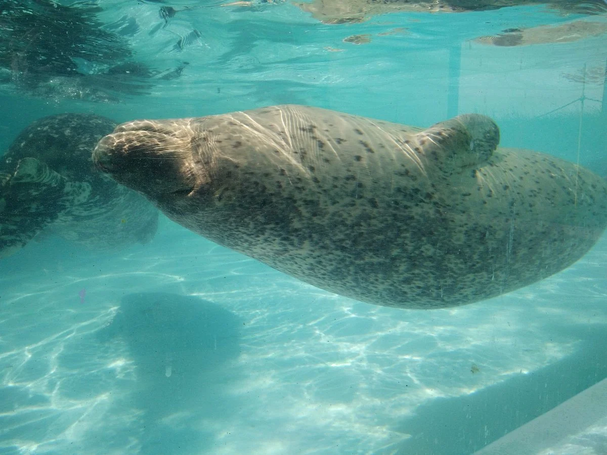 Muroran City Aquarium