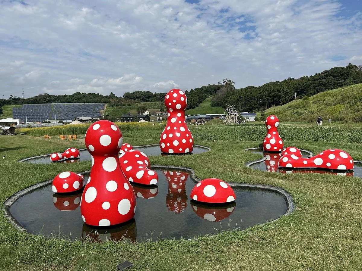 KURKKU FIELDS