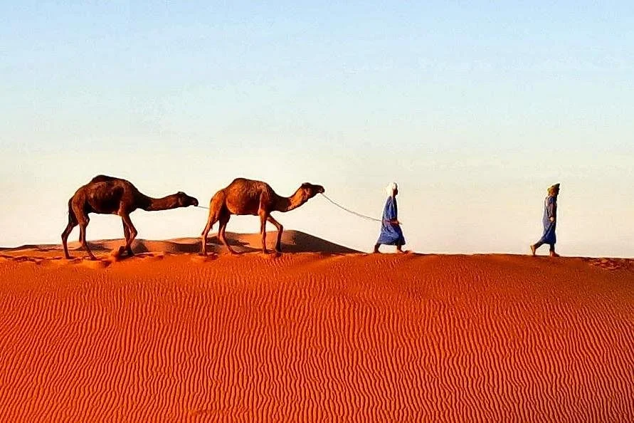 Morocco Desert Travel Company