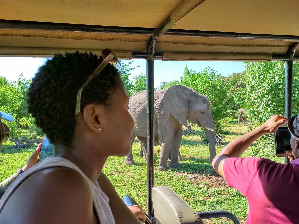 Tinvon Travel