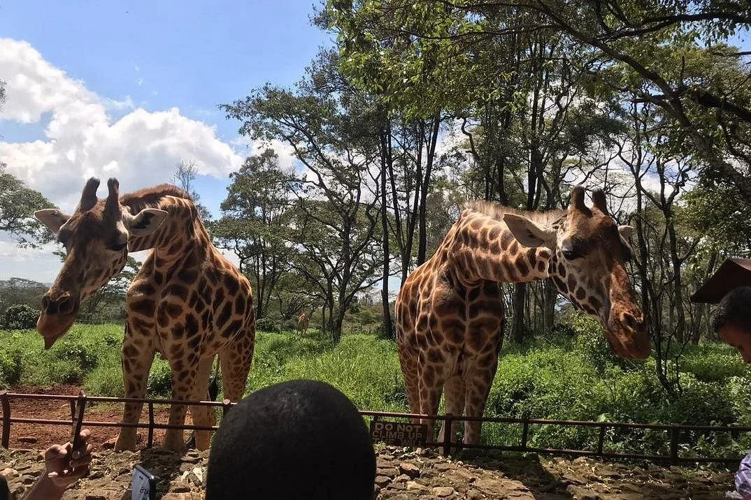 Wanderlust Kenya Adventures