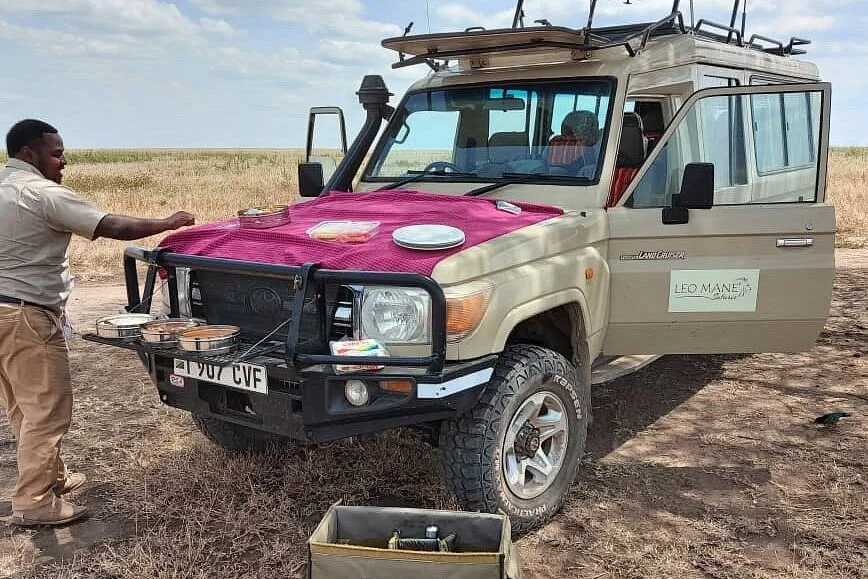 Leo Mane Safaris