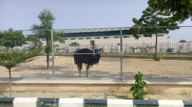 Aldusar Park And Zoo