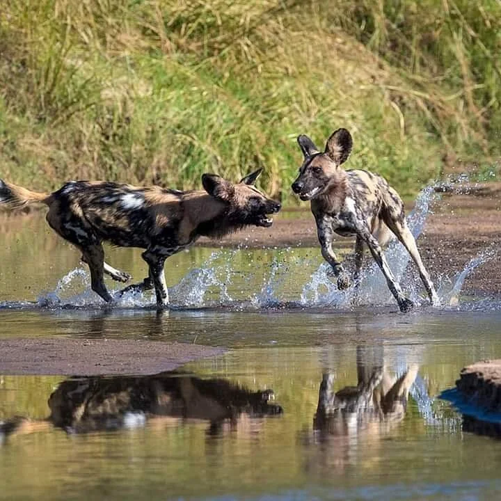 LBK Tours and Safaris