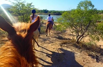 Horseback Safaris