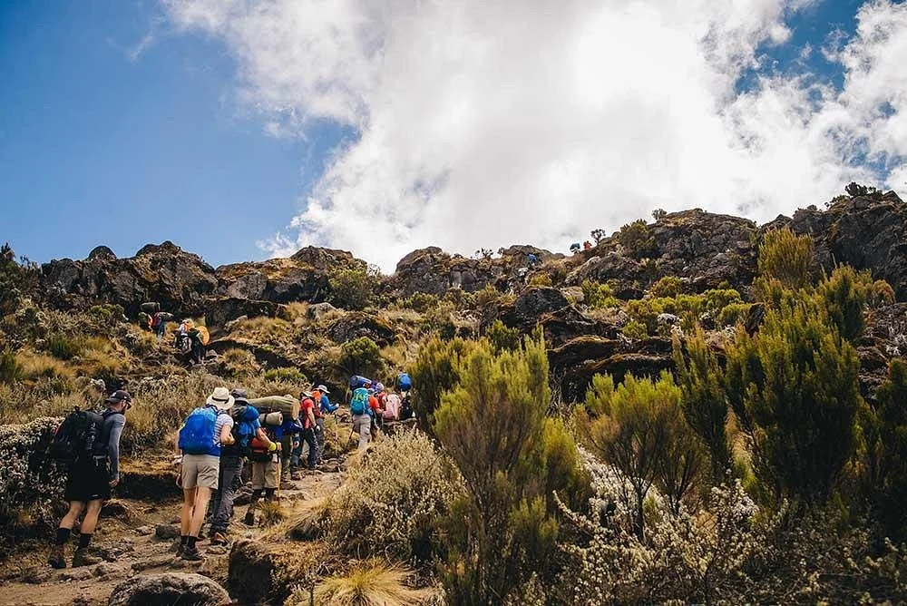 Trekking and Safaris for Charity